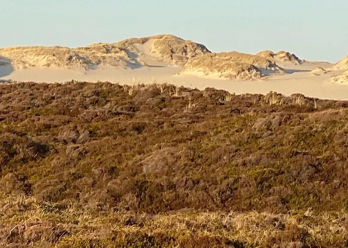 Amselweg-13-wohnung-4 Appartement Westerland